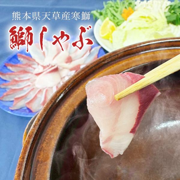 【直送】 寒鰤 ‐天草名物鰤しゃぶセット‐ お歳暮 年末年始 寒ブリ ぶりしゃぶ 贅沢ギフト 熊本 ...