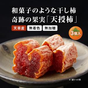 天授柿(干し柿) 80g 3個入 化粧箱 黒蜜...の詳細画像1