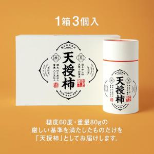 天授柿(干し柿) 80g 3個入 化粧箱 黒蜜...の詳細画像3