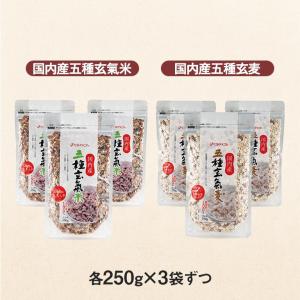 五種元氣6袋セット 五種玄氣米 五種玄氣麦 国...の詳細画像2