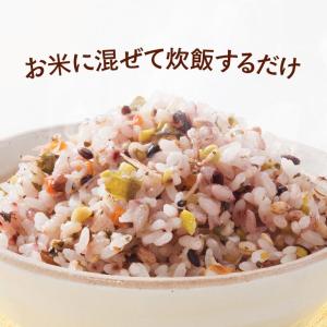 十六栄養米セット 国産雑穀 十六穀米 まごわや...の詳細画像2