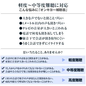 オンキヨー・デジタル補聴器 両耳用セット OH...の詳細画像2