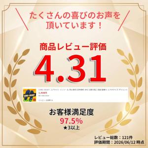 CORE-RIGHT コアライト インソール ...の詳細画像1