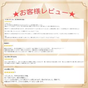 CORE-RIGHT コアライト インソール ...の詳細画像2