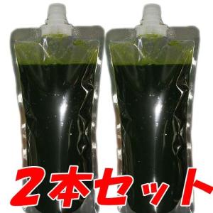 【クール便発送】生クロレラ　2本 タマミジンコ/ワムシ用培養液 送料無料 500ml みじんこ ミジンコ えさ エサ 生餌 生きエサ めだか メダカ グリーンウォーター｜u-rak