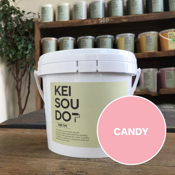 珪藻土 塗料 壁材 ペイント材 KEISOUDO PAINT 1.5kg【CANDY】