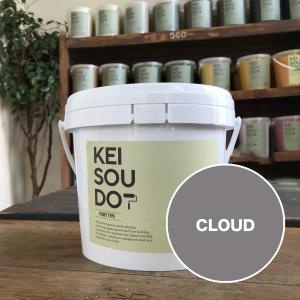 珪藻土 壁 塗り壁 左官 壁材 塗料 DIY U-SELECT KEISOUDO PLASTER 18kg 