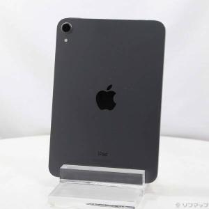 Apple Apple iPad mini 第6世代 256GB スペースグレイ Wi-Fi 動作確認