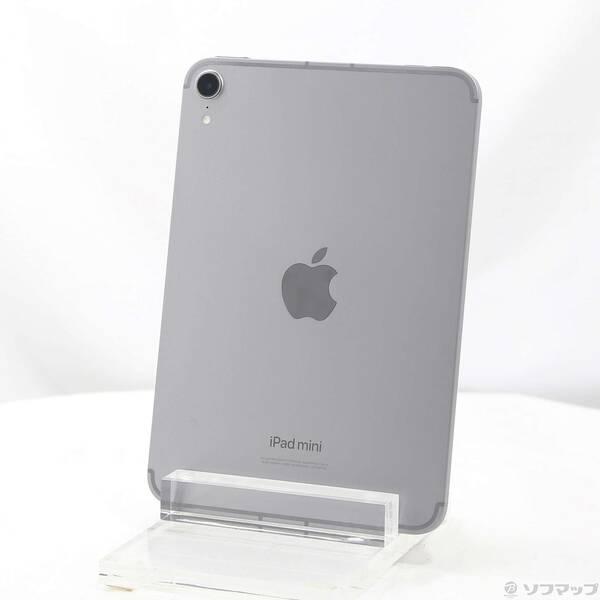〔中古〕Apple(アップル) iPad mini(A17 Pro) 128GB スペースグレイ M...