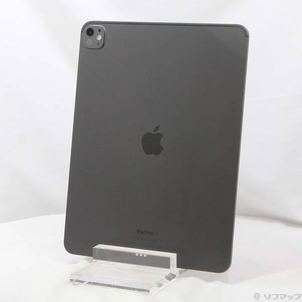 〔中古〕Apple(アップル) iPad Pro 13インチ 第1世代 標準ガラス 256GB スペ...