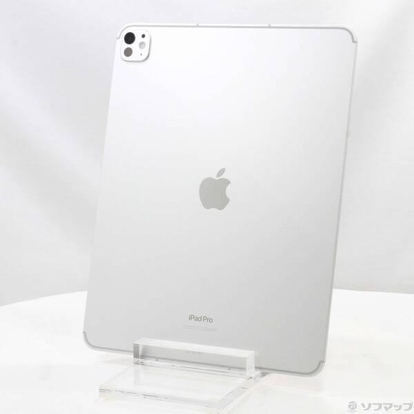 〔中古〕Apple(アップル) iPad Pro 13インチ 第1世代 標準ガラス 256GB シル...