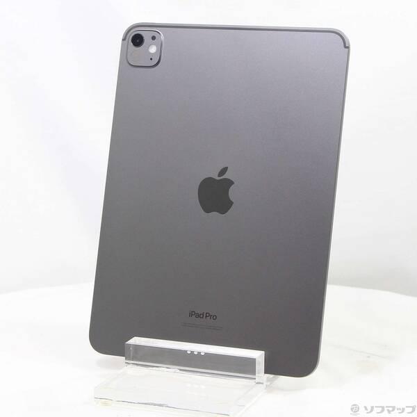 〔中古〕Apple(アップル) iPad Pro 11インチ 第5世代 標準ガラス 256GB スペ...