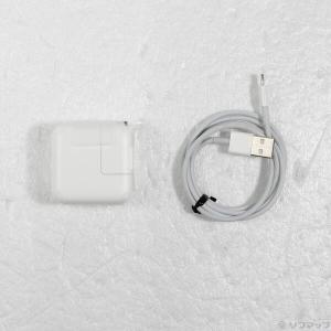 〔中古〕Apple(アップル) iPad mi...の詳細画像4