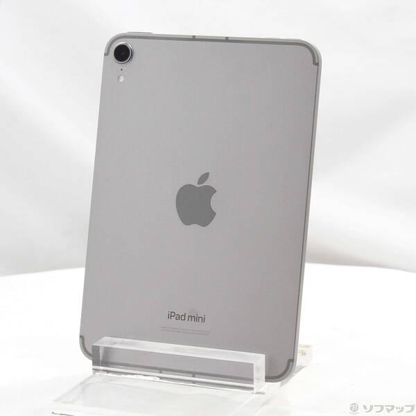 〔中古〕Apple(アップル) iPad mini(A17 Pro) 256GB スペースグレイ M...