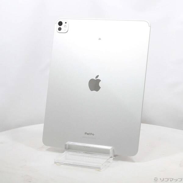 〔中古〕Apple(アップル) iPad Pro 13インチ 第1世代 標準ガラス 256GB シル...