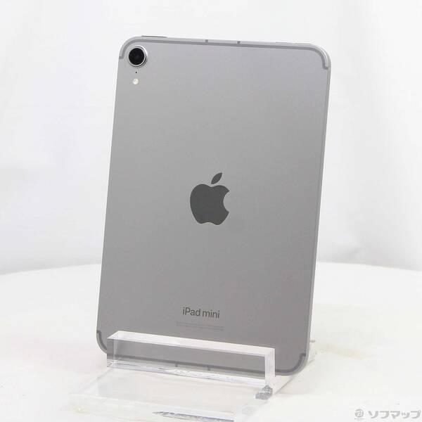 〔中古〕Apple(アップル) iPad mini(A17 Pro) 256GB スペースグレイ M...