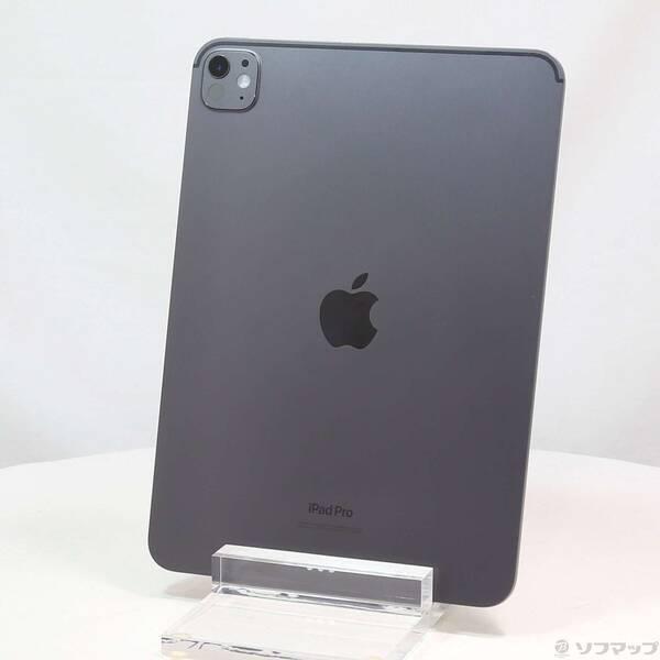 〔中古〕Apple(アップル) iPad Pro 11インチ 第5世代 標準ガラス 256GB スペ...
