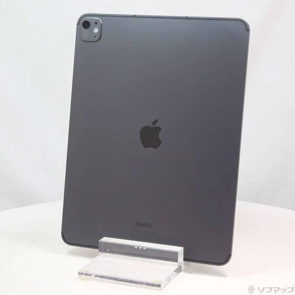〔中古〕Apple(アップル) iPad Pro 13インチ 第1世代 標準ガラス 512GB スペ...
