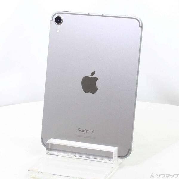 〔中古〕Apple(アップル) iPad mini(A17 Pro) 256GB スペースグレイ M...