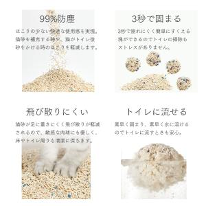 超PayPay祭 P最大32倍 PETKIT ...の詳細画像4
