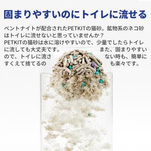 ＼P最大21倍/ 【セット割最大20%】 PE...の詳細画像3