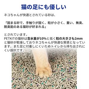 ＼P最大21倍/ 【セット割最大20%】 PE...の詳細画像5