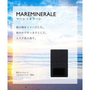 クルティ CULTI CAR DIFFUSER...の詳細画像4