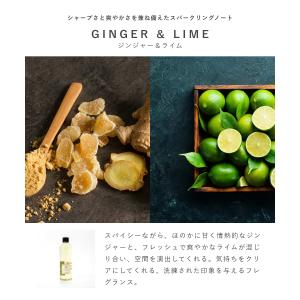 ドットール・ヴラニエス Dr. Vranjes...の詳細画像5