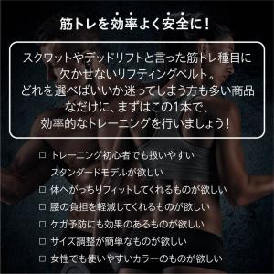 シーク Schiek リフティングベルト 20...の詳細画像3