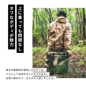 ワイルドギア WYLDGEAR ハードクーラー...の詳細画像5