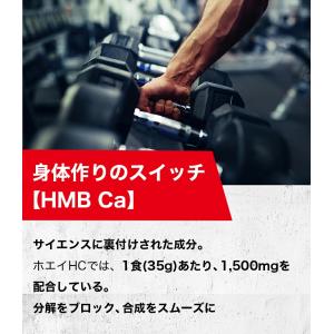DNS ホエイプロテイン HMB&クレ...の詳細画像3