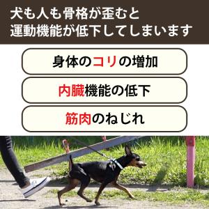 TUNERS チューナーズ アニマル バランス...の詳細画像2