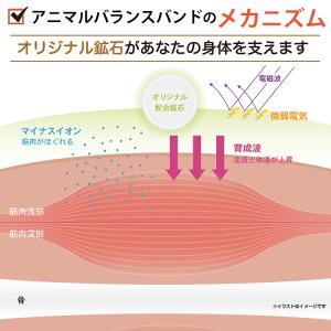 TUNERS チューナーズ アニマル バランス...の詳細画像3