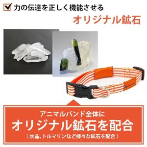 TUNERS チューナーズ アニマル バランス...の詳細画像4
