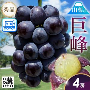 巨峰 ぶどう 【大粒・種なし】 山梨 秀品 4房 2kg 山梨県産 ぶどう ブドウ 葡萄 産地直送 クール便 ギフト 贈答用 フルーツ 果物