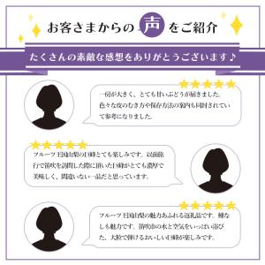 巨峰 ぶどう 【大粒・種なし】 山梨 秀品 4...の詳細画像1