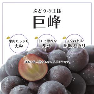 巨峰 ぶどう 【大粒・種なし】 山梨 秀品 4...の詳細画像2
