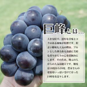 巨峰 ぶどう 【大粒・種なし】 山梨 秀品 4...の詳細画像3