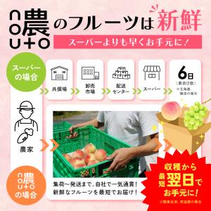 巨峰 ぶどう 【大粒・種なし】 山梨 秀品 4...の詳細画像4