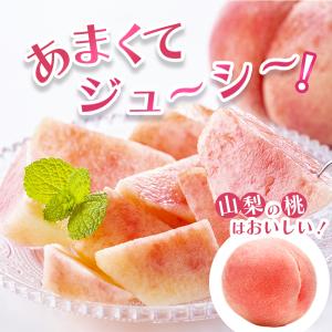 桃 山梨 2kg (5~8玉) クール便 訳あ...の詳細画像4