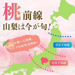 桃 山梨 4kg (10~16玉) クール便 ...の詳細画像4