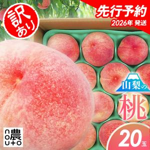 【2026年発送】 桃 もも 山梨 訳あり 【20玉 5.0kg~7.0kg目安】 フルーツ 果物 momo 送料無料 山梨県 お中元 産地直送 品種お任せ 白桃 あかつき 白鳳 川中島