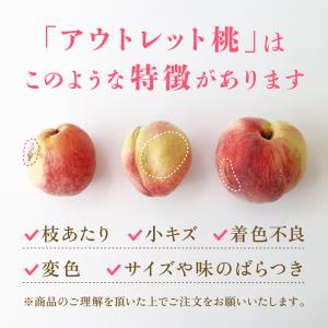 【2026年発送】 桃 もも 山梨 訳あり 【...の詳細画像2