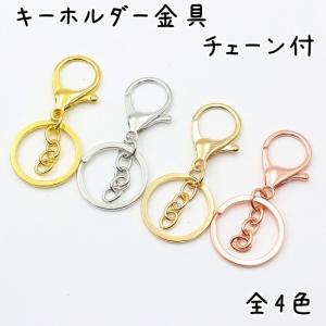 [10個] キーホルダー金具 ナスカン チェーン 付き 全4色 キーホルダー 金具 パーツ おしゃれ リング チャーム カラビナ アミナスカン ハンドメイド 卸 オススメ