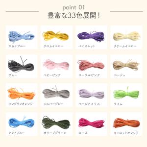 スエード紐 10m 合皮 革紐 全33色 平紐...の詳細画像1