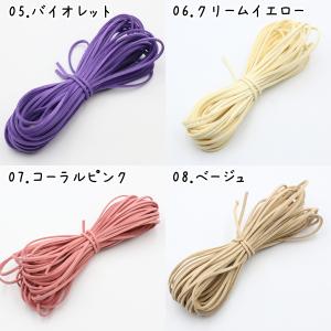 スエード紐 10m 合皮 革紐 全33色 平紐...の詳細画像4
