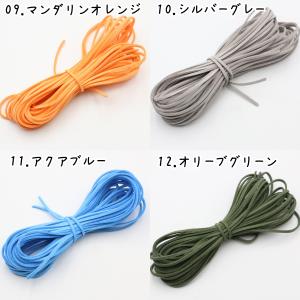 スエード紐 10m 合皮 革紐 全33色 平紐...の詳細画像5