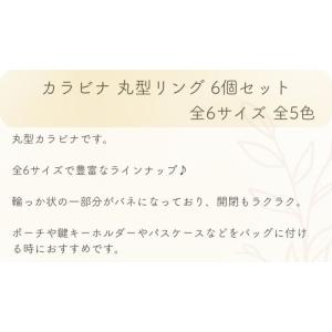 [6個] カラビナ 外径 32mm 全5色 キ...の詳細画像1
