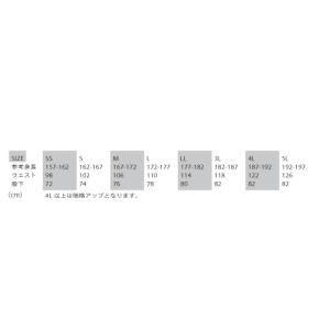 GRACE ENGINEERS GE-750 ...の詳細画像2