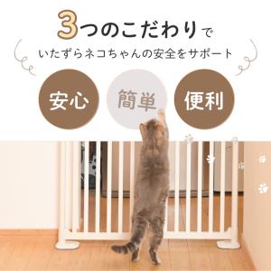 レビューキャンペーン実施中 【ねこ脱走防止ゲー...の詳細画像1